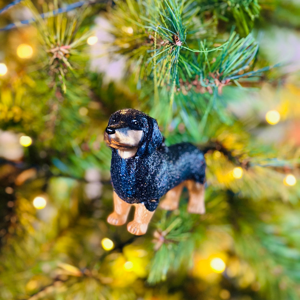 
                      
                        Kerstbal Teckel in Kerstboom
                      
                    