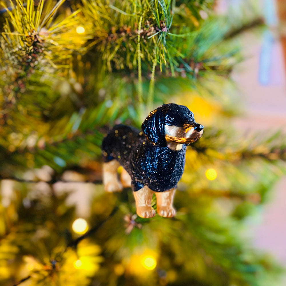 
                      
                        Teckel Kerstbal
                      
                    