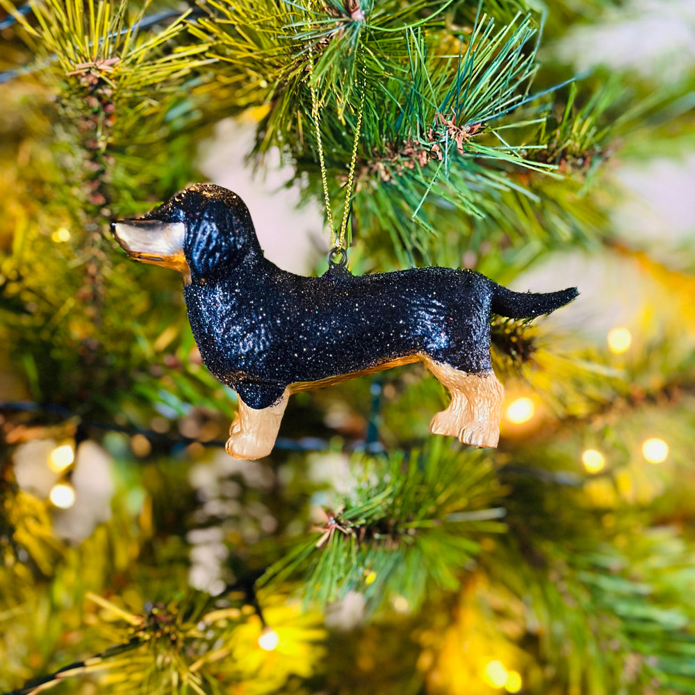 
                      
                        Teckel Kerstbal in kerstboom
                      
                    